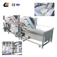 Industriële gemotoriseerde wasmachine voor fruit, groenten, yam, rambutan, citroenzaden, 2000 kg/uur, SUS304 roestvrij staal, bubbelwassing