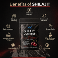 Gummies de Shilajit 1400mg avec Chaga et Ashwagandha, véganes, sans sucre, saveur cerise, marque privée OEM