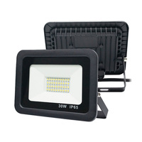 Projecteur LED extérieur 30W, cadre en aluminium moulé sous pression blanc et noir, étanche IP66, AC100-130V
