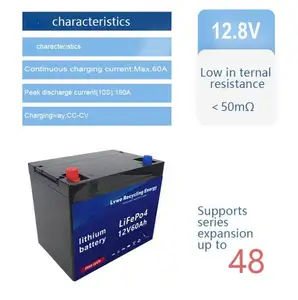 Batteria agli ioni di litio 48v 13ah per scooter elettrico city bike 15Ah 20AH 30AH 48AH 75AH 90AH lifepo4 battery pack