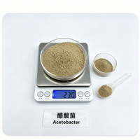 Inoculant pour la fabrication du vinaigre Acetobacter 10 milliards UFC/g, poudre de bactéries acétiques pour l'oxydation de l'alcool et la fermentation acétique, 25 kg
