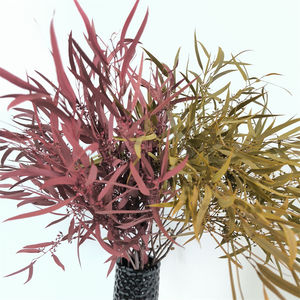 Suministro <span class=keywords><strong>de</strong></span> fábrica, venta al por mayor, eucalipto preservado, semillas <span class=keywords><strong>de</strong></span> sauce, eucalipto, eucalipto seco <span class=keywords><strong>de</strong></span> tacto real - Product Image 5