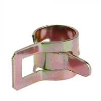 115 pièces 6-22mm colliers de serrage ou pinces à ressort zinc plaqué gaz eau collier de serrage outils en métal Kit d'assortiment