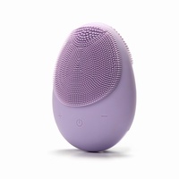 Ensemble de brosses nettoyantes faciales électriques sans fil en silicone imperméable à l'eau pour le visage Sonic en gros