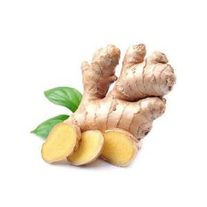 Jengibre congelado de Vietnam con garantía de calidad y embalaje personalizado para compradores internacionales - Product Image 1