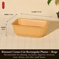 Pots à fleurs rectangulaires carrés pour plantes succulentes, en résine céramique, design respirant, plastique épaissi, écologique, style chinois rustique