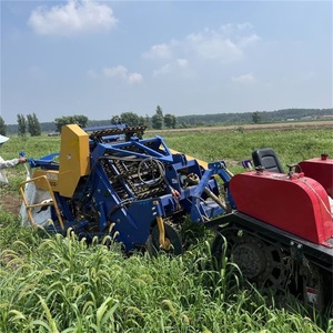 Kết hợp gặt đập khoai lang khoai tây thu hoạch đóng gói bán Hot - Product Image 4