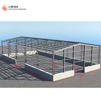 Estructura Metálica Prefabricada para Almacén/Taller/Hangar/Edificio de Estructura de Acero
