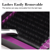Extensions de cils classiques Premium Faux Mink Volume 16 lignes mélange mat dans une boîte fournitures en gros