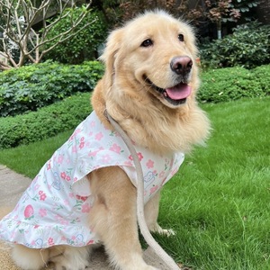 Mignon grand chien gilet été robe pour animaux de compagnie pour chiens moyens à grands, Golden Retriever, Labrador, Samoyède, vêtements de protection solaire minces - Product Image 1