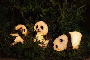 Les lumières en forme de panda ajoutent une ambiance festive aux jardins, parcs et paysages publics. - Product Image 1