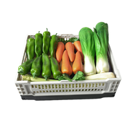 Caisse à légumes pliable en plastique maillé pour supermarché, grande capacité, pour usage agricole, panier de rangement ventilé pour le transport des œufs