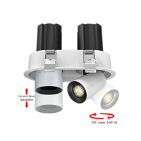 Spot LED Encastrable Moderne 12W 220V Réglable Anti-Éblouissement Double Faisceau Allongé pour Projets d'Éclairage Commercial