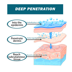 Serum leher, Arthritis sendi pinggang punggung nyeri menenangkan nyeri leher menenangkan otot pijat santai minyak esensial - Product Image 2