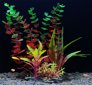 Nouvelle arrivée différents types de Wers et plantes artificielles en gros - Product Image 3