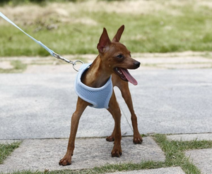 OEM Harnais pour chien en polyester durable et personnalisé de type H Veste moderne de conception tactique simple adorable sans traction Caractéristique colorée solide Animaux de compagnie - Product Image 3