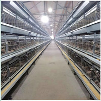 Système de cages à poulets en batterie entièrement automatique de type H à étages superposés pour ferme avicole commerciale
