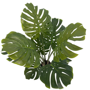 Kỳ Lạ Công Cụ Sống deliciosa Hạt Giống Monstera Mọng Nước Cây Turtleback Lớn Nhân Tạo Bất Cảm Ứng Thực Nhà Máy Cho Nhà Vườn Cảnh Quan - Product Image 5