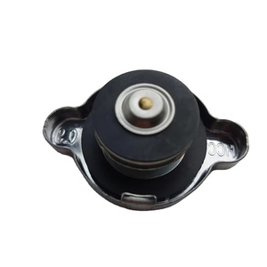 Cubiertas de radiador de alta calidad al por mayor 25330-17000 2533017000 para EQUUS/CENTENNIAL 25330 17000 - Product Image 5
