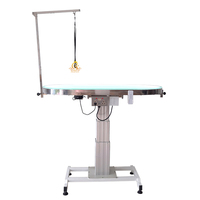 Table de toilettage électrique professionnelle pour animaux de compagnie EUR PET, équipement vétérinaire de haute qualité, hauteur réglable, lumière LED pour chiens/chats