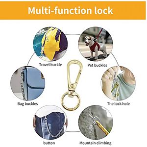 Boucles à ressort pivotantes en métal Porte-clés O Ring Homard Fermoir Griffe Mousqueton <span class=keywords><strong>Collier</strong></span> de <span class=keywords><strong>chien</strong></span> Mousqueton Sac à main Accessoires de bricolage - Product Image 5