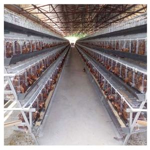 Cage à poules à 3 niveaux et 4 portes, prix bas, élevage avicole de 96 à 160 œufs avec des cages à batterie de type 4 niveaux au Nigéria - Product Image 1