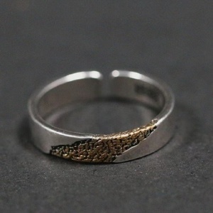 Nouvelle bague pour homme en argent réglable, style rétro, deux couleurs, or trempé, feu de flux, hip-hop, garçon, vintage, noir, bague de couple - Product Image 4
