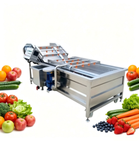 Industriële fruit- en groentewasmachine voor het reinigen van aardbeien, bosbessen en kersen