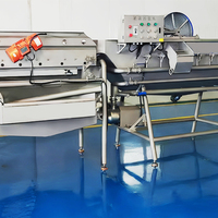 YouBan Automatische Vortex Wasmachine 1000-2000kg/uur Hoge Capaciteit Salade- en Groentewasser