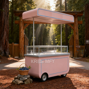Chariot portable de crème glacée et de gelato tendance, de haute qualité, pour desserts glacés - Product Image 6