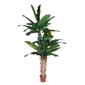 Árbol bonsái artificial de alta simulación Oh Arts, árbol de plátano realista de varios tamaños, árbol de plátano gigante artificial - Product Image 6