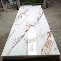 Panneaux muraux décoratifs en PVC imperméable effet marbre 3D, faciles à installer, modernes, résistants aux UV, pour l'intérieur des hôtels et les salles de bain