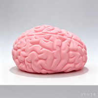 Jouet sensoriel anti-stress en forme de cerveau SoftSmart, doux et relaxant, à remontée lente, pour enfants, vente en gros