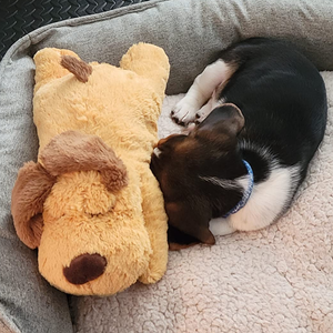 Vendita calda stile cartone animato cane ansia compagno di sonno giocattolo simulazione battito cardiaco giocattolo interattivo peluche per animali domestici - Product Image 4