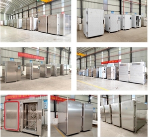 Attrezzatura veloce del congelatore dell'azoto liquido del Tunnel di alta qualità-congelamento rapido di IQC di 120 ~ 196 °C con il motore come componente del centro - Product Image 6