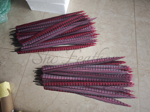 Plumes de faisan artificielles teintes bon marché Lady Amherst Plumas de plumes de queue de faisan pour la décoration de costumes de carnaval - Product Image 5