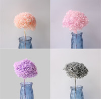 Bunga Hydrangea Kering Berkualitas Tinggi 20cm untuk Dekorasi Rumah, Bunga Kering untuk Pernikahan, Tanaman Kering, Batang Bunga, Hari Valentine, Wisuda, Tahan Lama