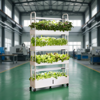 Système d'irrigation vertical aéroponique TSP 210, lampes de culture LED, pompe à eau automatique, petit système de culture à 4 niveaux pour herbes fraîches et légumes à feuilles vertes