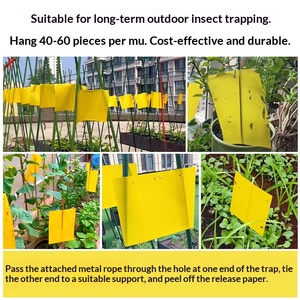 Paquete Combinado de Trampas Adhesivas Amarillas y Azules, Tableros de Pegamento de Doble Cara para Insectos, para Control de Plagas en Invernaderos como Pulgones, Trips y Moscas Blancas - Product Image 6