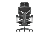 Chaise de bureau ergonomique avec accoudoirs 5D, appui-tête 4D, chaise d'ordinateur entièrement en mesh avec soutien lombaire réglable