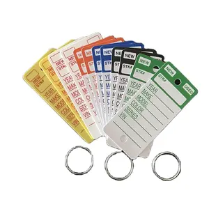 Custom hot sales Color top strip key tags with rings for car service