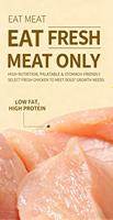 Aliments pour animaux de compagnie lyophilisés OEM ODM, croquettes sèches, formule à base de viande pure, haute palatabilité, fournit des protéines de haute qualité pour vos animaux de compagnie bien-aimés