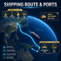 Transport maritime DDP vers la Papouasie-Nouvelle-Guinée, expédition porte-à-porte par voie maritime depuis Guangzhou, Chine, pour vêtements, textiles, tissus, chaussures