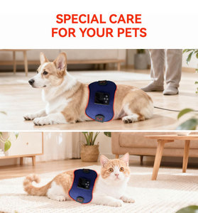 Hàng mới không dây liệu pháp ánh sáng đỏ vành đai quấn eo chân tay giảm đau - Product Image 4