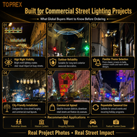 Luces Decorativas LED TOPREX IP65 con Motivos Navideños, Decoración Profesional 2D y 3D para Postes de Calle, para Decoración Urbana Comercial Navideña