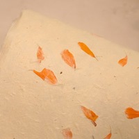 Papier végétal artisanal à base de fleurs séchées naturelles, papier artistique avec pétales et feuilles intégrés pour emballage cadeau, bricolage et décoration