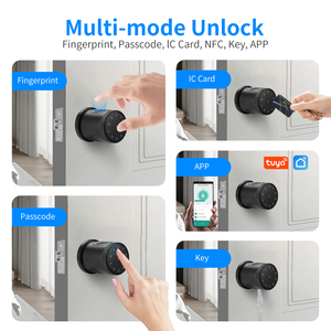 Tuya Uygulaması Kontrollü Dijital Parmak İzi Elektronik Şifreli Anahtar Akıllı Ev Cihazı Güvenlik Sistemi Yatak Odası Kapısı Akıllı Kulp Kilidi - Product Image 1