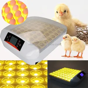 WONEGG Eficiência Mini Incubadora Ocidental de Ovos Totalmente Automática 56 Incubadora de Ovos para venda