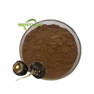 Plant Extract Maca Root Extract Premium Black Maca Powder