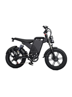 Vélo de ville électrique 20 pouces avec cadre en acier à haute teneur en carbone, moteur arrière sans balais 500W, batterie lithium-ion 48V 16Ah amovible, numérique haute vitesse